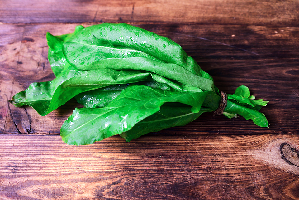 Acedera Orgánicos Nutriandina