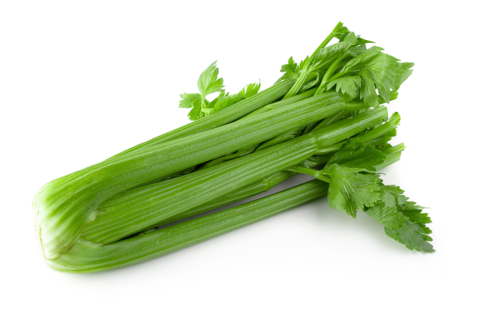 Apio Orgánicos Nutriandina